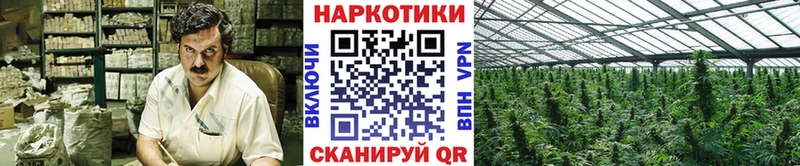 Купить закладку Альфа ПВП Героин Меф мяу мяу Галлюциногенные грибы ГАШ Бошки Шишки Краснознаменск