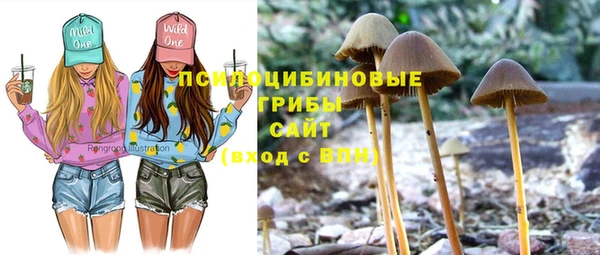гашик Иннополис